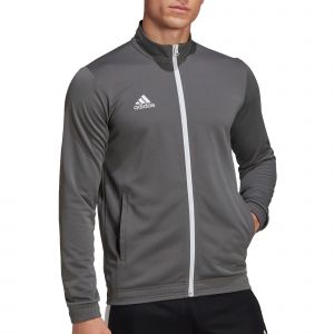 Image de Adidas Veste Entrada 22 L Team Grey Four 1