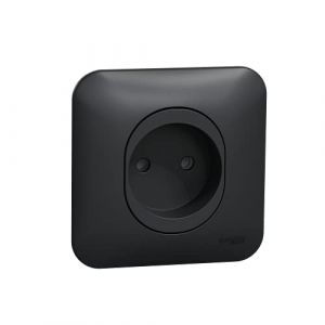 Schneider Electric Ovalis - prise de courant - 2P - 16A-avec griffes Avec plaque -Anthracite (S465033)