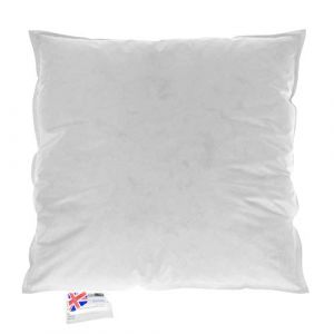 Image de Coussin de garnissage Duvet et Plumes de Canard, 90 x 90 cm - Blanc - Homescapes