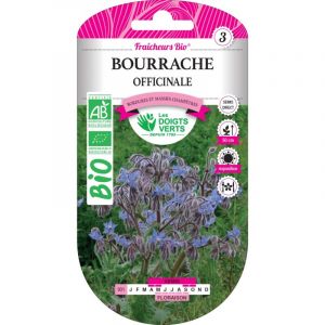 Les doigts verts Bourrache Officinale Bio