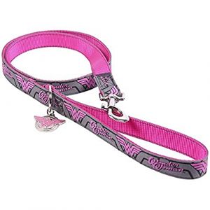 ForFanPets Laisse pour Chien Superheroes de Wonder Woman – Licence Officielle DC Comics