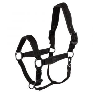 Licol BR Equitation Fedde