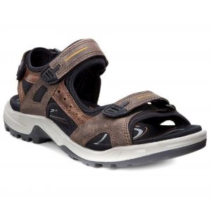 Ecco Offroad, Chaussures de Fitness Outdoor Hommes, Marron-Braun (Espresso/Cocoa Brown/Black), 45 EU