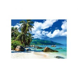 Educa Puzzle adulte au bord de la plage seychelles - 1500 pieces - set puzzle collection paysage mer montagne + 1 carte tigre