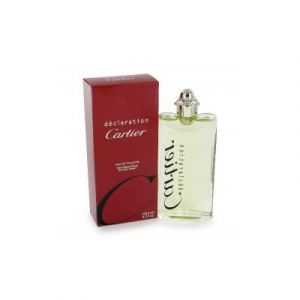Cartier D&eacute;claration - Eau de toilette pour homme - 100 ml