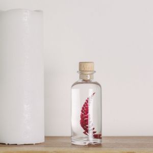 Th&eacute;ophile Berthon Plante immerg&eacute;e Rumohra rouge H12