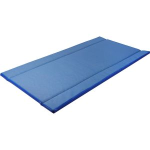 Kerbl Tapis de passage désinfectant standard