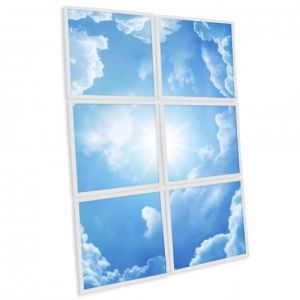 Delitech Pack de 6 dalles LED imprimées - Heaven - 600x600mm 595x595x10,5mm Blanc Froid