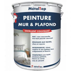 Peinture Mur Et Plafond - T&eacute;l&eacute;magenta - RAL 4010 - Pot 5L