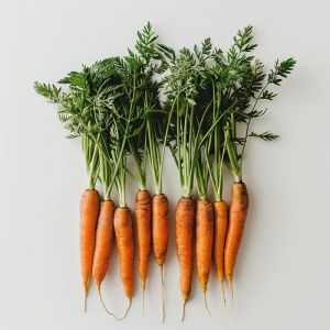 500 Graines De Carotte Nantaise