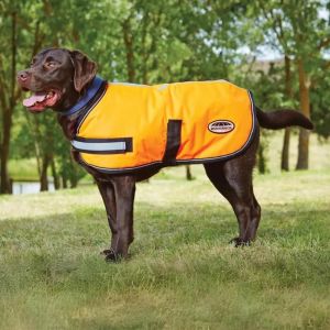 Weatherbeeta Manteau pour chien réfléchissant Comfitec Parka 300D