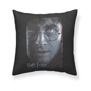 BELUM | Housse de Coussin Harry Potter Taille: 50x50 - Mod&egrave;le : Harry Potter Grey A - Tissu: Half Panama 100% Coton 250 Grs.