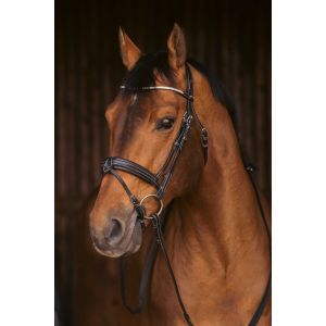 Bridon équitation Pénélope Daily Strass