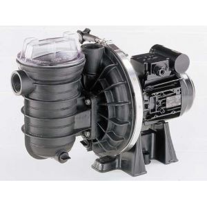 Image de Habitat et Jardin Pompe piscine Sta-rite - 1/2cv monophas&eacute;