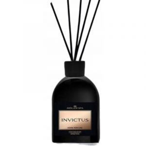 Diffuseur de parfum d'ambiance Invictus 90 jours bâtonnets désodorisants 250 ml
