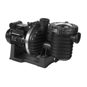 Sta-Rite 5P6R - 1.5 CV - Mono - Eau douce de - Pompe piscine