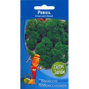 Persil frisé vert foncé