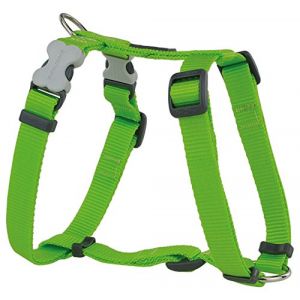 RedDingo Harnais pour Chien Vert Taille M
