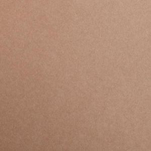 Image de Clairefontaine 97374C - Etui de 25 feuilles de papier Maya, 120 g/m², A4, coloris brun