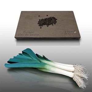500 Graines À Semer - Le Grenier D'abondance - Poireau Bleu De Solaise - Allium Porrum