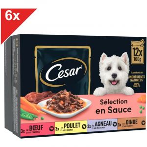 Image de C&eacute;sar 72 Sachets fra&icirc;cheur en sauce 4 vari&eacute;t&eacute;s pour chien 100g (6x12)