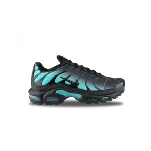 Nike Basket Air Max Plus Dusty Cactus Dm0032-016