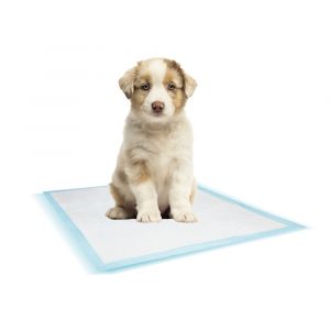 Tapis d'entraînement pour chien Nobby Pet (x50)