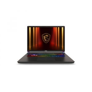 MSI PC Gamer Vector 17 HX AI A2XWHG-218FR