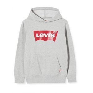 Levi's Kids Lvb Batwing Screenprint Hoodie Pulls Garçon Gris 6 ans