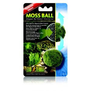 Image de Exo terra Moss Ball