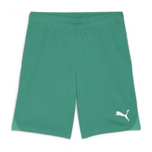 Puma TeamGOAL Shorts, Short en Maille Adultes Unisexes, Sport Green White, 705752