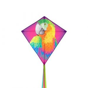 Hq Cerf-Volant Perroquet - 68x68cm