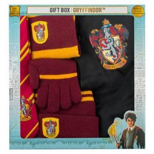 Déguisement Sabor Harry Potter (Robe+Foulard+Bonnet+Cravate+Gants)