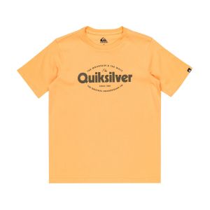Quiksilver Ev Shape All Days - T-shirt à manches courtes pour Garçon 8-16 Orange - Taille 12