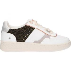 Gioseppo Baskets femme Macae