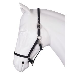 Licol pour cheval base Horka