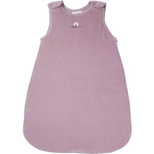 Eveil et Nature Gigoteuse biologique hiver 70 cm / 0-6 mois