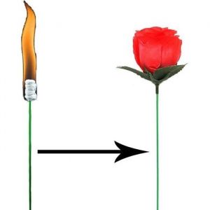 Accessoire de magie torc enflamm&eacute;e se transformant en rose * aille : 30 x 7 x 7 cm * Niveau de difficult&eacute; : facile Fonctions