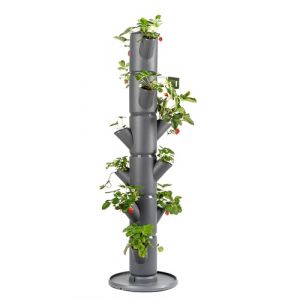 Gusta Garden - Sissy Strawberry - Plants de fraises - Sac de fraises - Bac de culture - Table de culture - Tour de plantes avec 6 niveaux