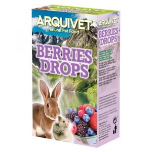 Image de Drops aux fruits des bois 65 g