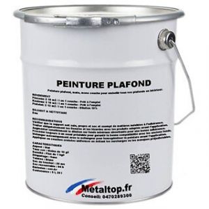 Peinture Plafond - Metaltop - - Pot 5L