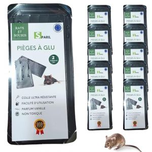 Piege A Colle Pour Rat Et Souris. Glu Puissante. 10 Plaques Collantes Anti Rat Aromatisées pour Attraper Les Rongeurs. Non Toxique