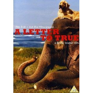 A Letter to True [Import anglais] [DVD]