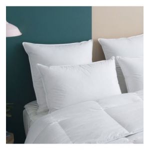 Oreiller MEDIUM 70% Duvet - Coton 65x65 cm - Wake Me Green