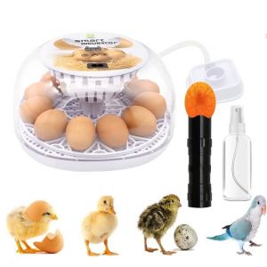 Couveuse Oeuf Automatique 12-24 Oeufs Retournement Testeur D Oeufs Couveuses ¿Ufs Volailles Machine D