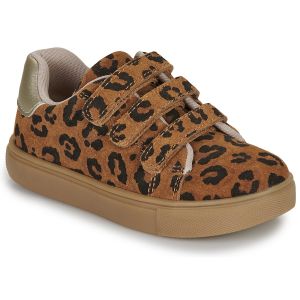Bonton Baskets basses enfant BASIL SCRATCH Marron - Taille 22,23,24,25,26,27,29,32,35