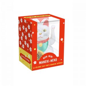 Hachette Coffret Mini chat de la fortune