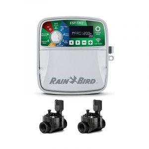 Rain Bird Programmateur automatique d'arrosage Electrique Automatique ESP-TM2 4 zones intérieur 2 Electrovannes 100HV 24V 1''