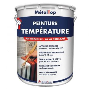 Image de Peinture Temperature - Aluminium blanc - RAL 9006 - Pot 1L