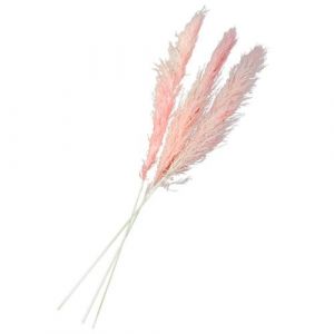 3 TIGES RBE DE PAMPA ROSE 120 135CM Rose, fuchsia Rose, Fuchsia